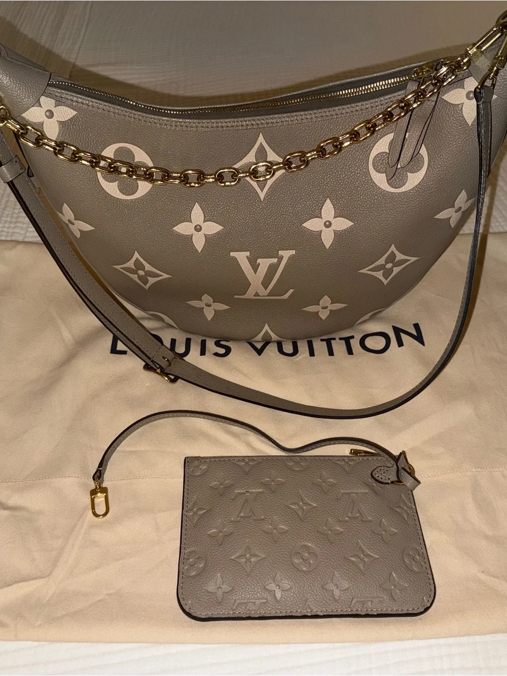 Louis Vuitton Hobo Loop Gray Bag